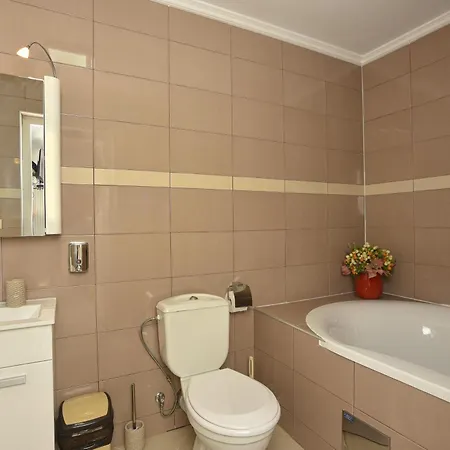 公寓 Graf 斯梅代雷沃