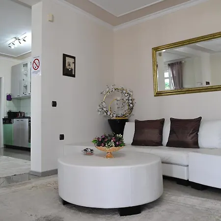 Graf * 斯梅代雷沃