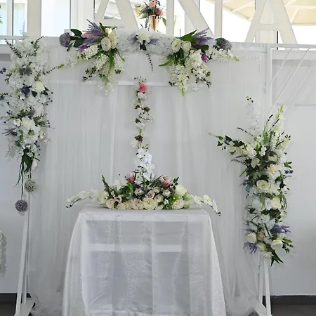 Graf 斯梅代雷沃