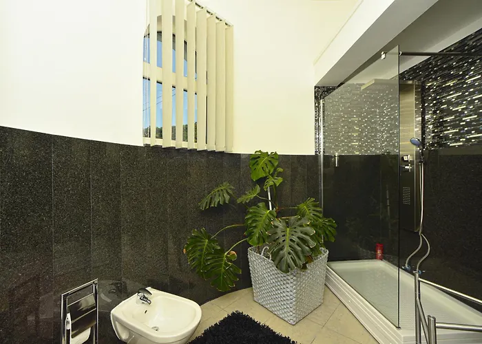 Graf Daire Semendire